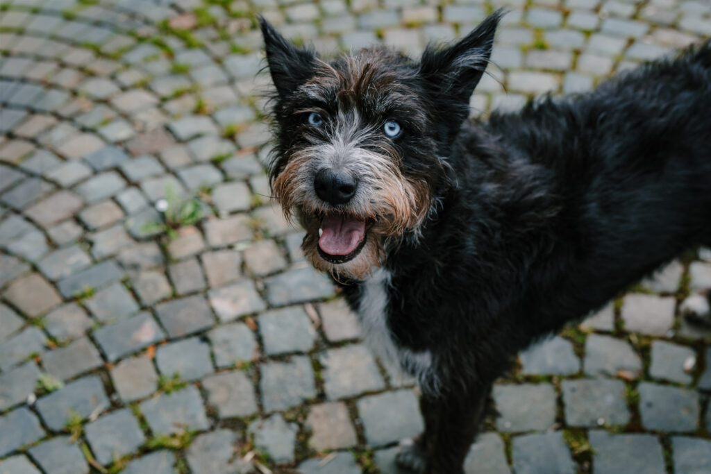 Rosi Täubert. Imsweiler Mühle.
